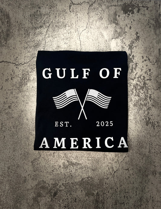 Gulf of America Basic Tee - White